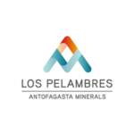 inicio los pelambres serteint